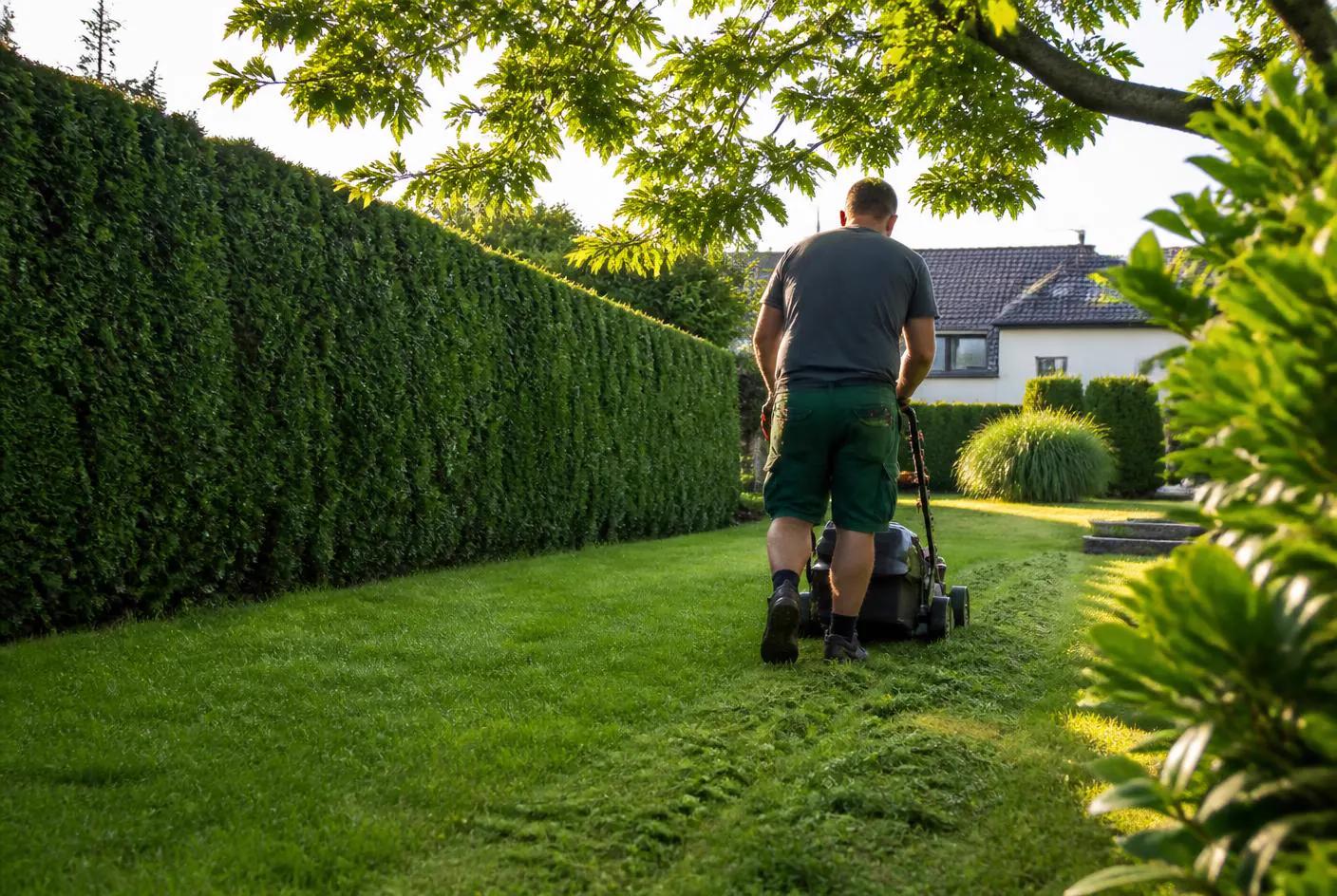 reinigungsdienst-wien.at – Gartenpflege Wien: Rasenmähen und Grünpflege in einem gepflegten Wiener Garten